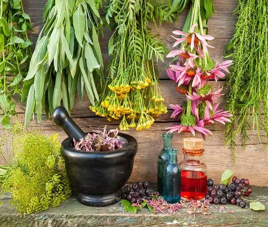 پاورپوینت درمان بیماری های زنان با گیاهان دارویی