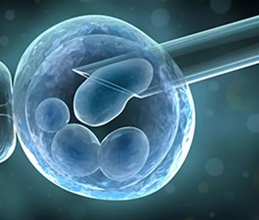 مقاله فناوری PGD و نقش آن در تشخیص ژنتیکی قبل از لقاح