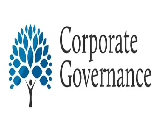 پاورپوینت سیستم های حاکمیت شرکتی