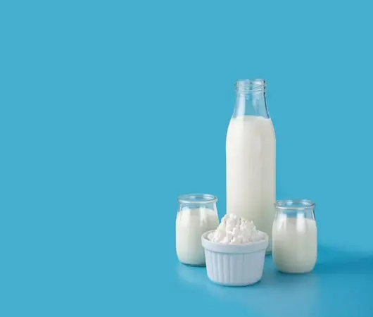 پاورپوینت بررسی آلودگی آفلاتوکسین M1 در فرآورده های لبنی