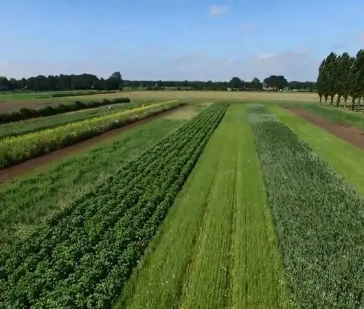 پاورپوینت آموزش اصول سبزی کاری در زمین های زراعی