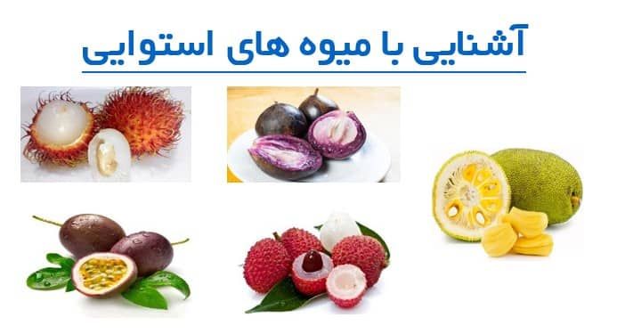 پاورپوینت میوه های استوایی و ویژگی های طعم و ارزش غذایی آنها