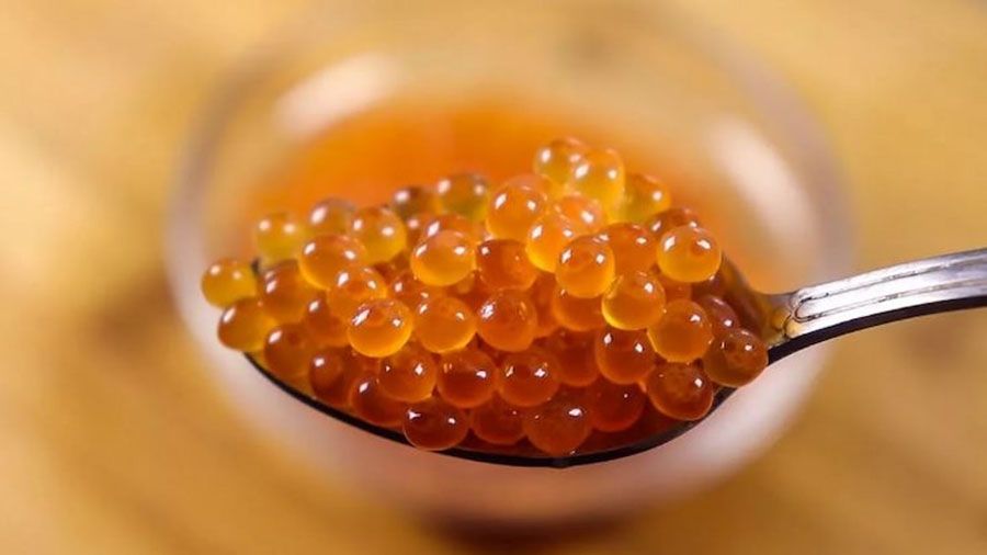 مقاله بررسی تاریخچه و ذخایر ماهیان خاویاری دریای خزر