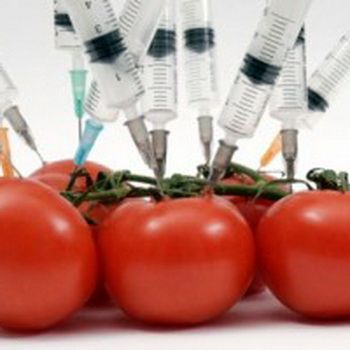 دانلود پاورپوینت سموم مواد غذایی