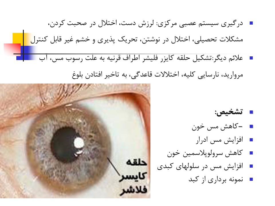 پاورپوینت جامع اختلالات و عملکرد کبد