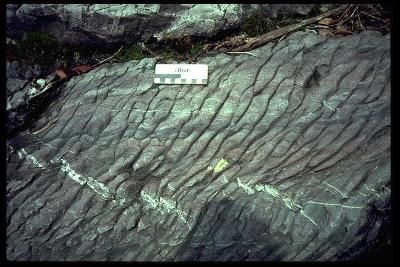 تحقیق سنگ های دگرگونی