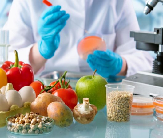 پاورپوینت شیمی مواد غذایی و پایداری ترکیبات آن