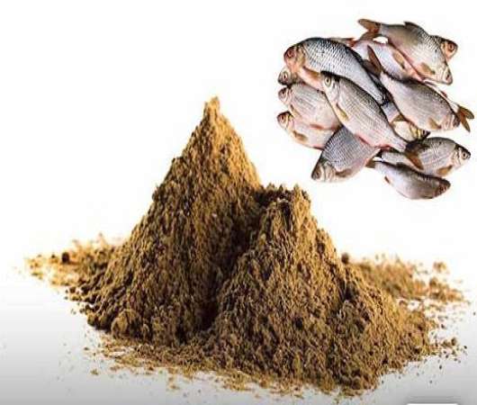 پاورپوینت کاربرد ژلاتین ماهی در صنعت غذا و دارو