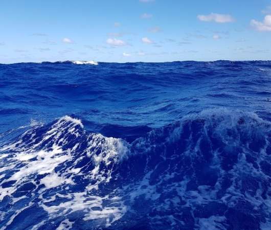 پاورپوینت در مورد دریاها و اقیانوس ها