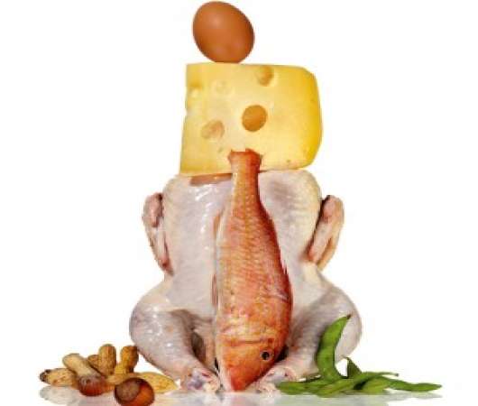 مقاله درباره رژیم غذایی در نوجوانان